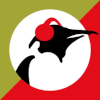 Pinguin Groove